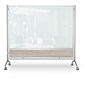 Balt D.O.C. Glass Room Divider, Silver Aluminum Frame, 58" x 69.6" (8201G-8201)