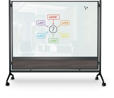 Balt D.O.C. Glass Room Divider, Black Aluminum Frame, 58" x 69.6" (8221G-7998)