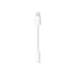Apple Lightning to 3.5mm Headphone Jack Adapter for iPad, iPod touch, and iPhone (MMX62AM/A)