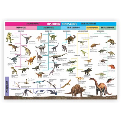 Round World Products Wonders of Learning Tin Set, Discover Dinosaurs, 2 Sets (RWPTS03BN)