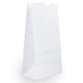 JAM Paper Kraft Lunch Bags, 9.75 x 5 x 3, White, 500/Box (691KRWHB)