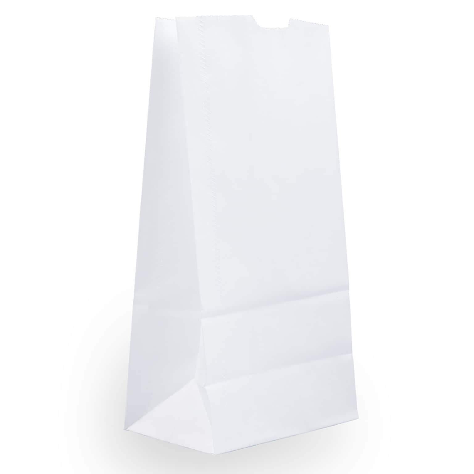 JAM Paper Kraft Lunch Bags, 9.75 x 5 x 3, White, 500/Box (691KRWHB)