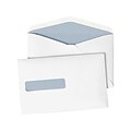 Quality Park Gummed Security Tinted Business Envelopes, 6 x 9 1/2, White, 500/Pack (90063)