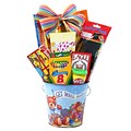 Alder Creek Gift Baskets Kids Get Well Soon Gift (FG06415)