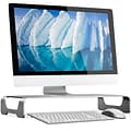 Mount-It! Aluminum Monitor Riser, 16 Wide (MI-7275)