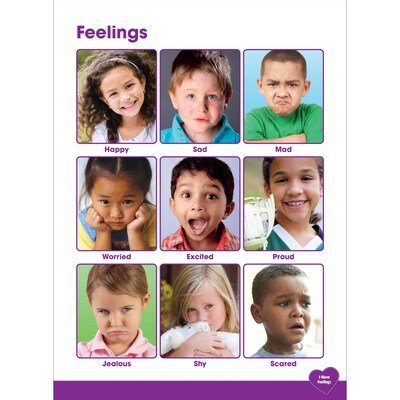 Newmark Learning Social & Emotional Learning Flip Chart (NL-4681)