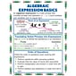 Teacher Created Resources Algebraic Expressions & Equations Teaching Poster Set (MC-P088)