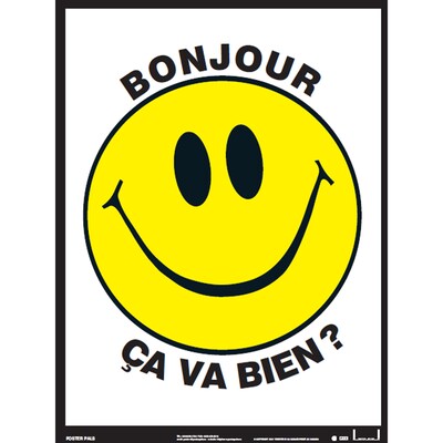 Poster Pals French Essential Classroom Posters Set II (PSZPS57)