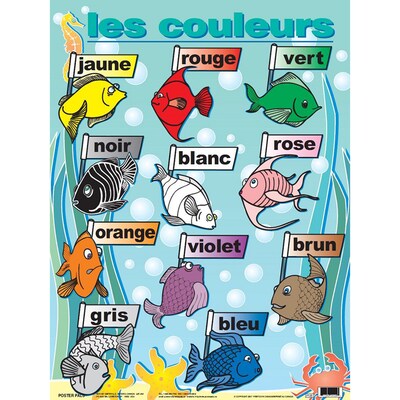 Poster Pals French Essential Classroom Posters Set II (PSZPS57)