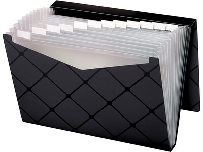 Pendaflex Accordion File, 8.5 x 11 (US letter), 13-Pocket, Black (PFX 39624BLA)