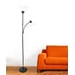 Simple Designs Incandescent Floor Lamp, Black (LF2000-BLK)