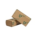 Eco Green Recycled Multifold Paper Towels, 1-ply, 250 Sheets/Pack, 16 Packs/Carton (APVEK416)