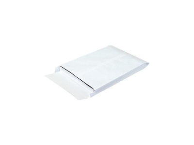 Ship-Lite Self Seal Catalog Envelopes, 10 x 13, White, 100/Carton (SLE10131WE)