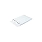 Ship-Lite Self Seal Catalog Envelopes, 10" x 13", White, 100/Carton (SLE10131WE)