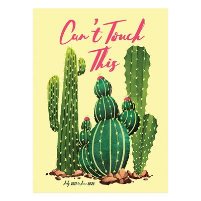 July 2019 - June 2020 TF Publishing 7.5 x 10.25 Medium Monthly Planner, Cant Touch Cactus (20-4205a)