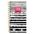 July 2019 - June 2020 TF Publishing 3.5 x 6.5 Small Daily Weekly Monthly Planner, Painted Stripes (20-7713a)
