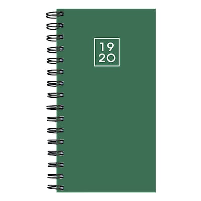 July 2019 - June 2020 TF Publishing 3.5 x 6.5 Small Daily Weekly Monthly Planner, Green (20-7765a)