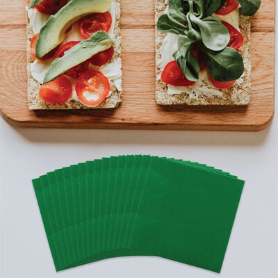 JAM Paper® Medium Lunch Napkins, 6 1/2 x 6 1/2, Green, 50/Pack (255628201)