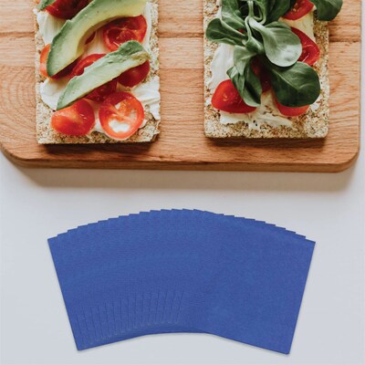 JAM Paper Lunch Napkin, 2-ply, Blue, 50 Napkins/Pack (6255620718)