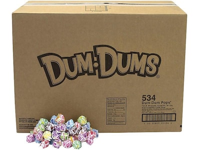 Dum Dums Lollipops, Assorted Flavors, 480 oz., (211-00014)