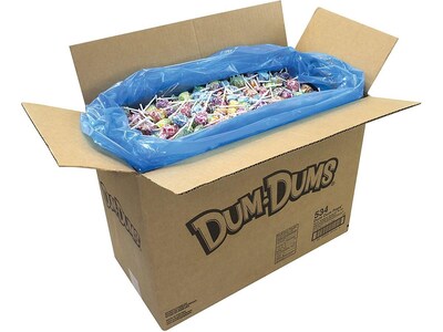 Dum Dums Lollipops, Assorted Flavors, 480 oz., (211-00014)