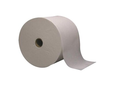 Eco Green 2-Ply Small Core Toilet Paper, Natural White, 1000 Sheets/Roll, 36 Rolls/Carton (EB2725-36)