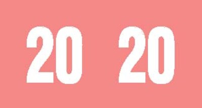 Medical Arts Press® Large Compatible Pink End-Tab Year Labels; 2020, 500/Roll