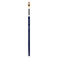Prismacolor Col-Erase Colored Pencils, Blue, 24/Pack (33534-Pk24)