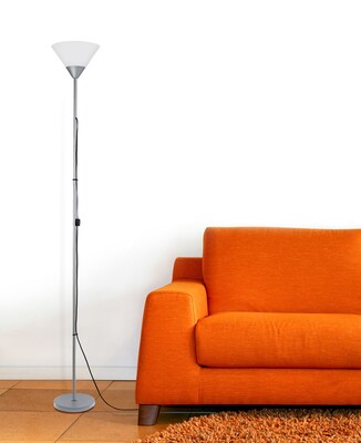 Simple Designs Incandescent Floor Lamp, Silver (LF1011-SLV)