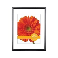 Victory Light Plastic Poster Frame, 16” x 20”, Black (VF0023B.1620)