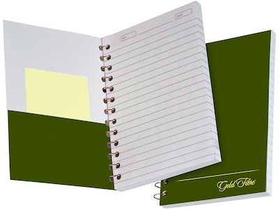 Ampad Gold Fibre 1-Subject Notebook, 5" x 7", College Ruled, 100 Sheets, Green (20-801R)