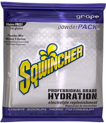 Sqwincher Lemon-Lime Sports Energy Drink Powder Mix, 47.66 Oz., 16 Packs/Carton (016408-LL)