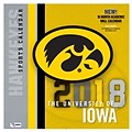 Iowa Hawkeyes 2018 12X12 Team Wall Calendar (18998011832)