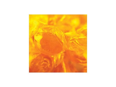 Quality Candy Butterscotch Discs Hard Candy, 80 Oz. (210-00045)