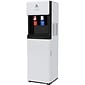 Avalon 3-5 Gallon White Bottom Loading Hot & Cold Water Cooler Dispenser (A6BLWTRCLRWHT)