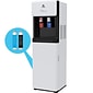 Avalon Self Cleaning White Bottleless Hot & Cold Water Cooler Dispenser (A7BOTTLELESS)