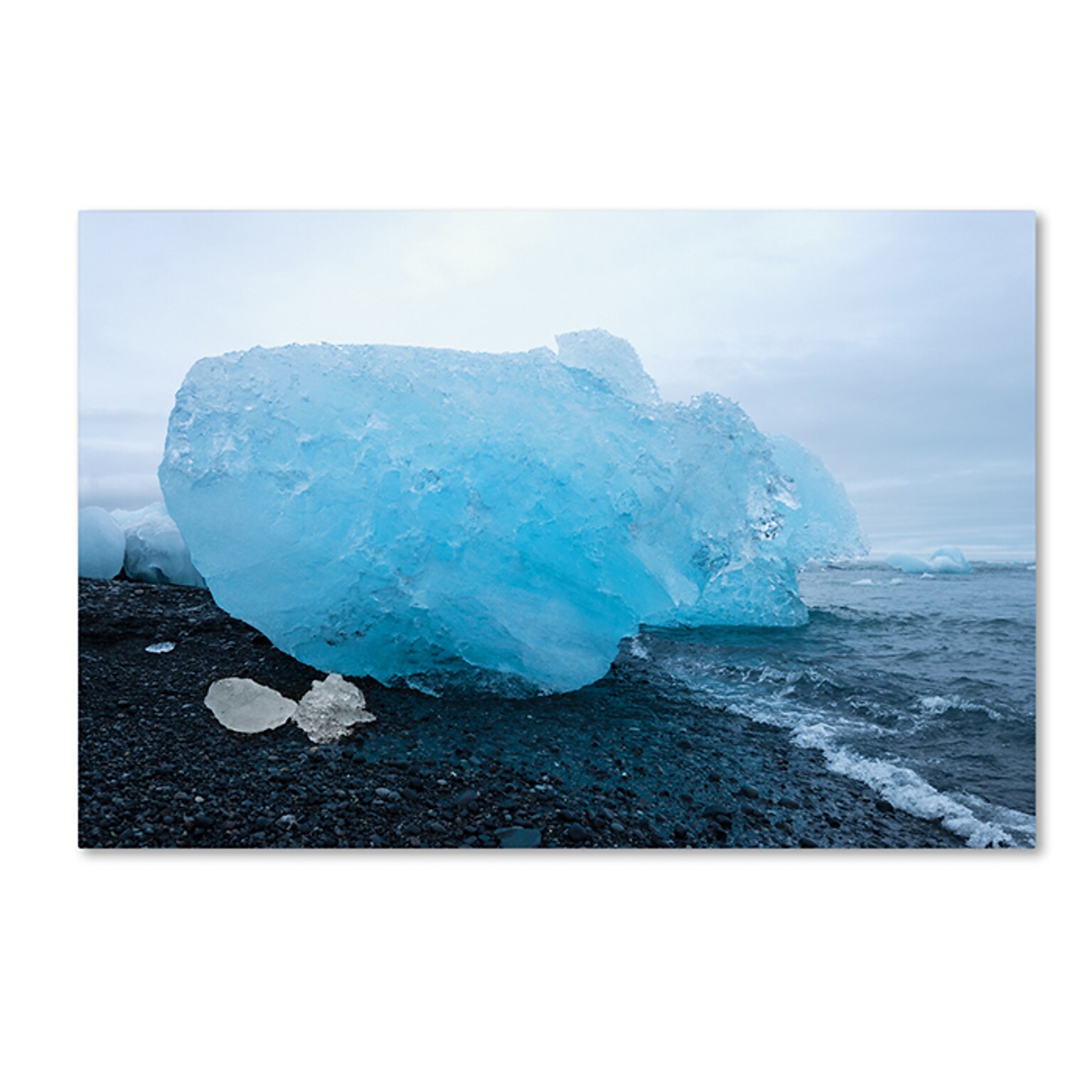 Trademark Fine Art Philippe Sainte-Laudy The Blue Egg 12 x 19 Canvas Art (190836328185)