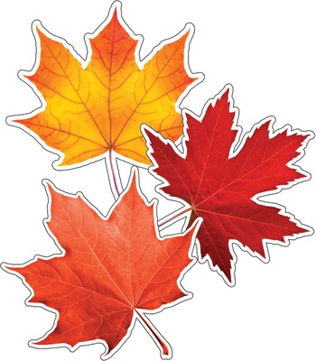 Schoolgirl Style Woodland Whimsy Fall Leaves Cut-Outs, 36/Pack (120580)