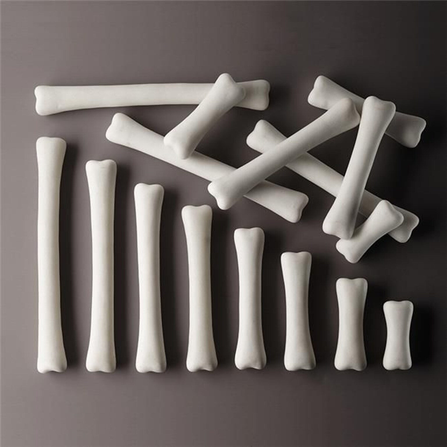Yellow Door US Dinosaur Bones Match & Measure Set(EDRE54376)