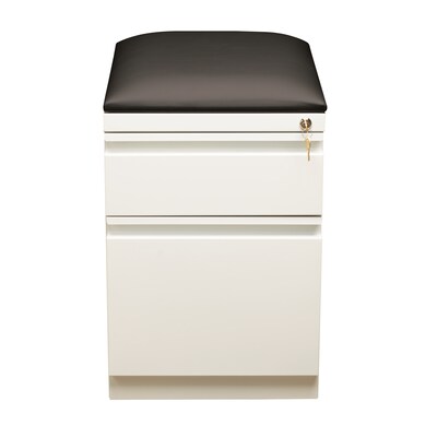 2-Drawer File Cabinet with Seat and Wheels, White, 20" Deep (19334)