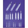 Exel Luer Lock Syringe, 3cc, 1000/Case (26200)