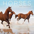 Tf Publishing 2018 Horses Mini Wall Calendar (18-2007)