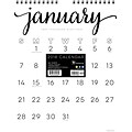 Tf Publishing 2018 Black & White Script Monthly Wall Calendar (18-6216)