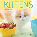 Tf Publishing 2018 Kittens Mini Wall Calendar (18-2009)