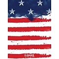 Tf Publishing 2018 America Monthly Planner (18-4096)