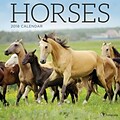 Tf Publishing 2018 Horses Wall Calendar (18-1007)
