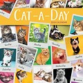 Tf Publishing 2018 Cat A Day Wall Calendar (18-1013)