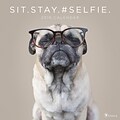 Tf Publishing 2018 Sit. Stay. #Selfie. Wall Calendar (18-1005)
