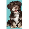 Tf Publishing 2018 Puppies 2 Yr Pocket Planner (18-7011)