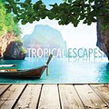 Tf Publishing 2018 Tropical Escapes Wall Calendar (18-1110)